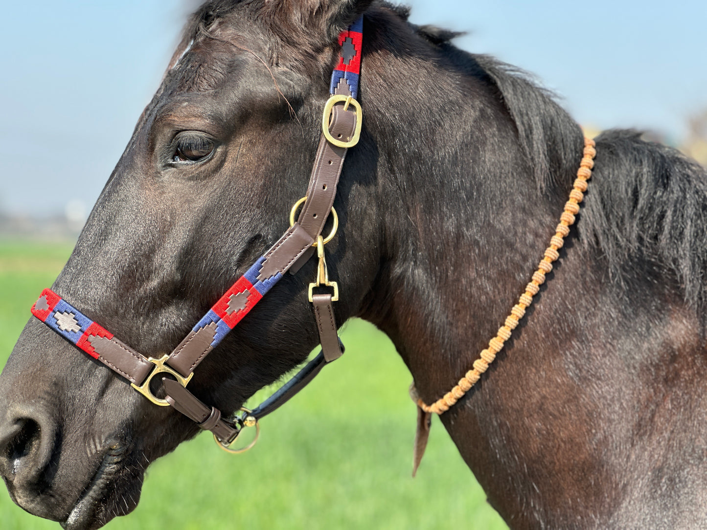 Brown Polo Leather Halter - Brass Hooks & Buckles, Premium Horse Halter