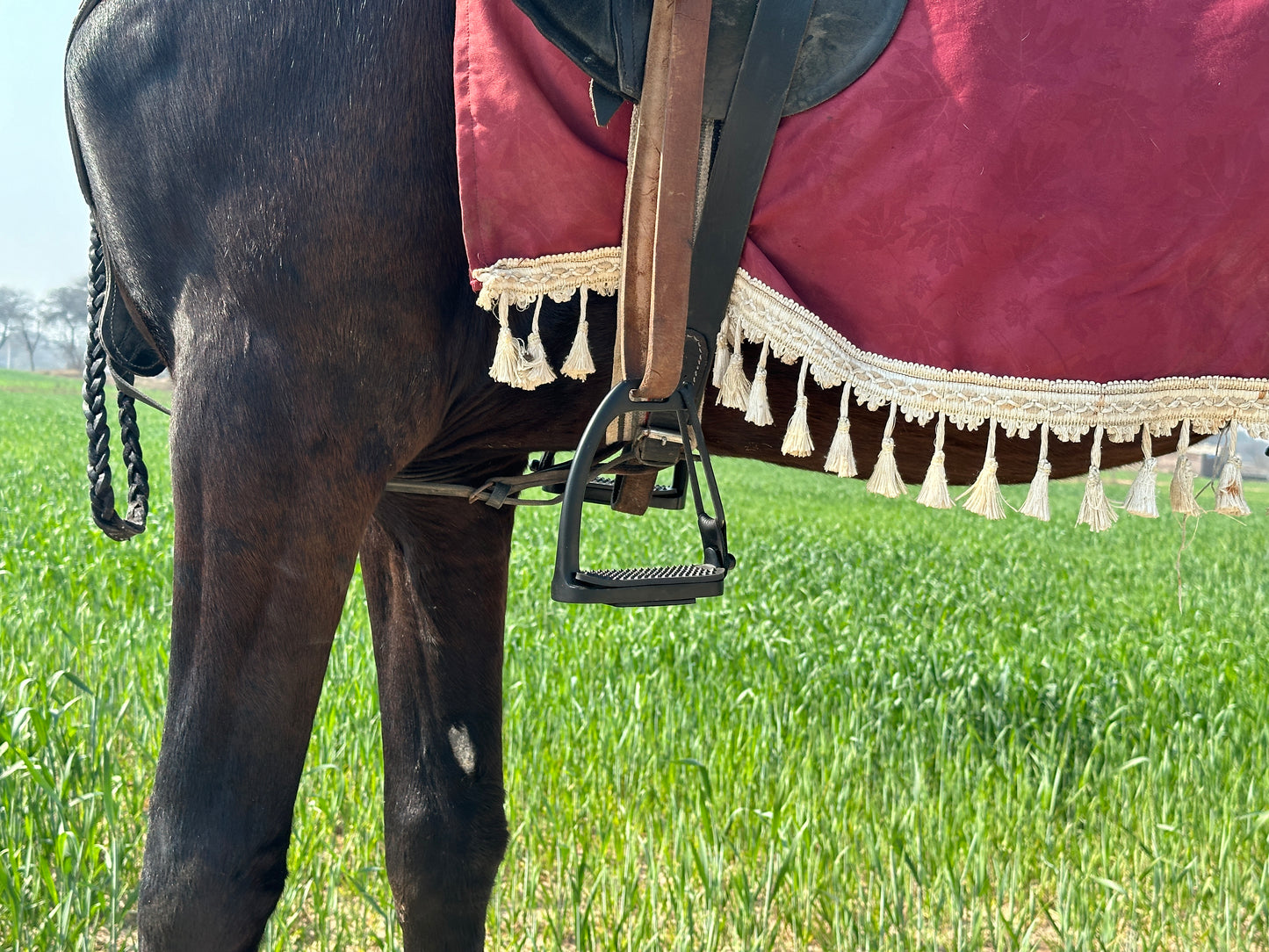 Stylish & Premium Horse Safety Stirrups | BI-028