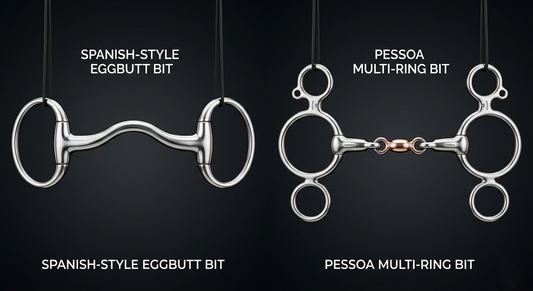 Understanding Horse Bit Types: Spanish vs Pessoa vs EggButt