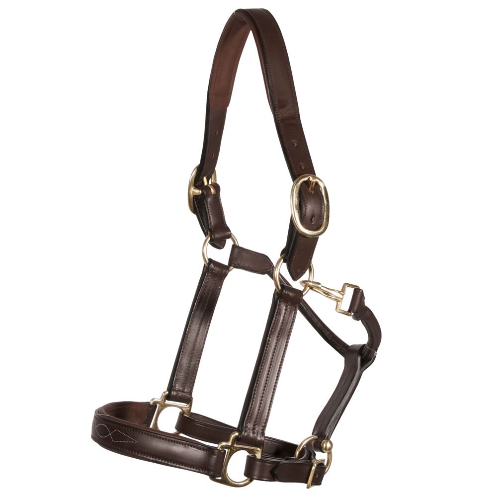 Elite Horse Leather Halter for Equestrian Excellence |Brown Padded -Brown Stiched