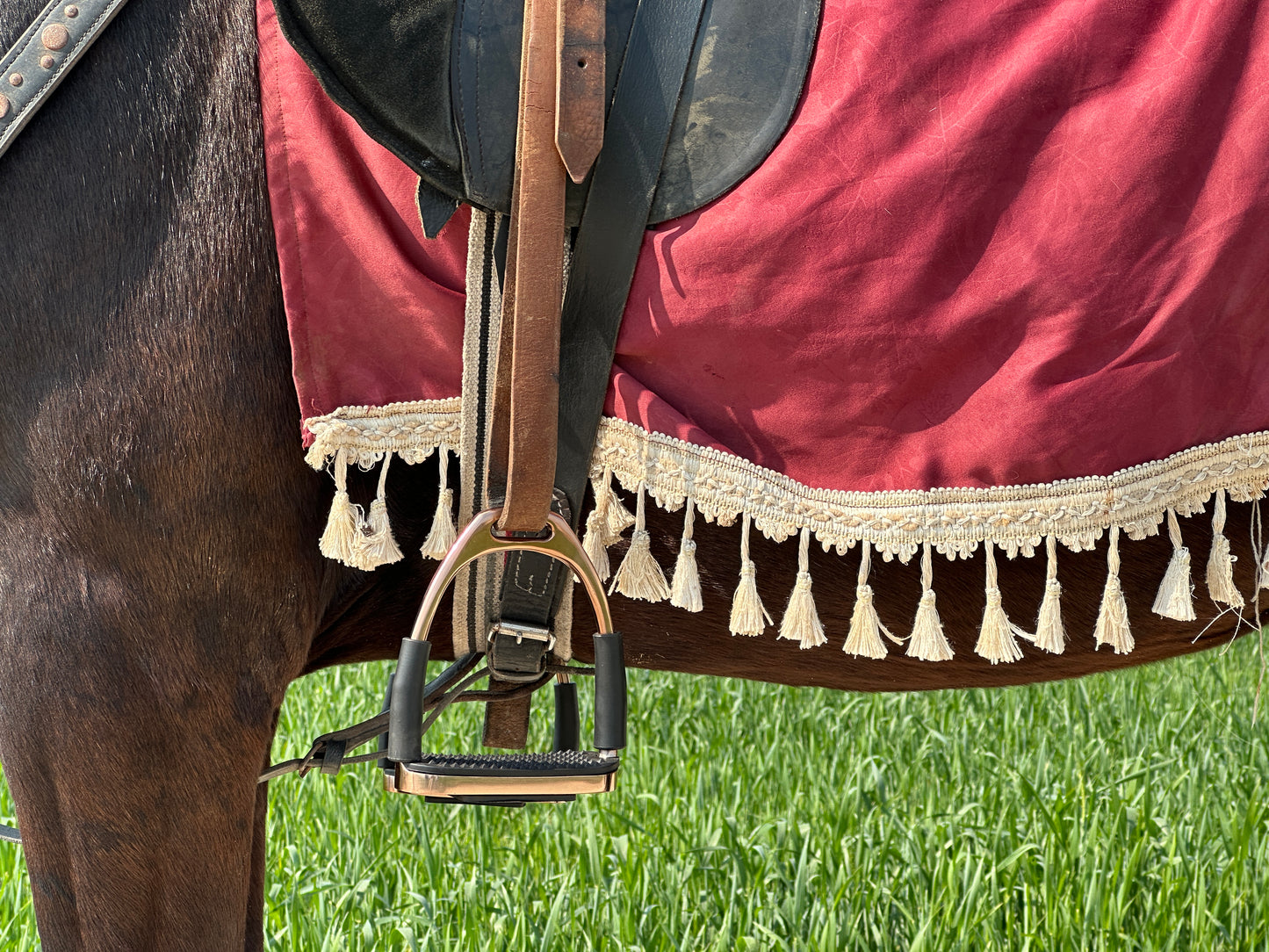 Rose Gold Flexible Stirrups - Stainless Steel Horse Riding Stirrups
