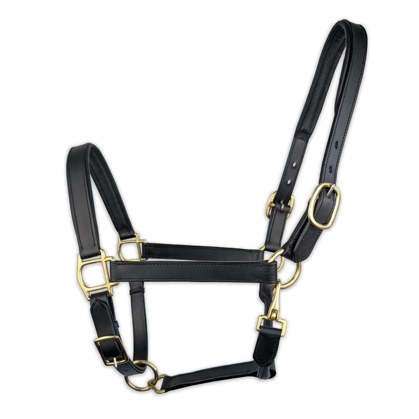 Elite Horse Leather Halter for Equestrian Excellence | Black Padded With Brass Buckles & Hooks