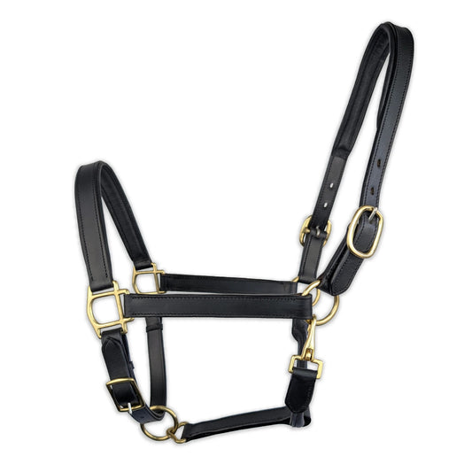 Elite Horse Leather Halter for Equestrian Excellence | Black Padded With Brass Buckles & Hooks