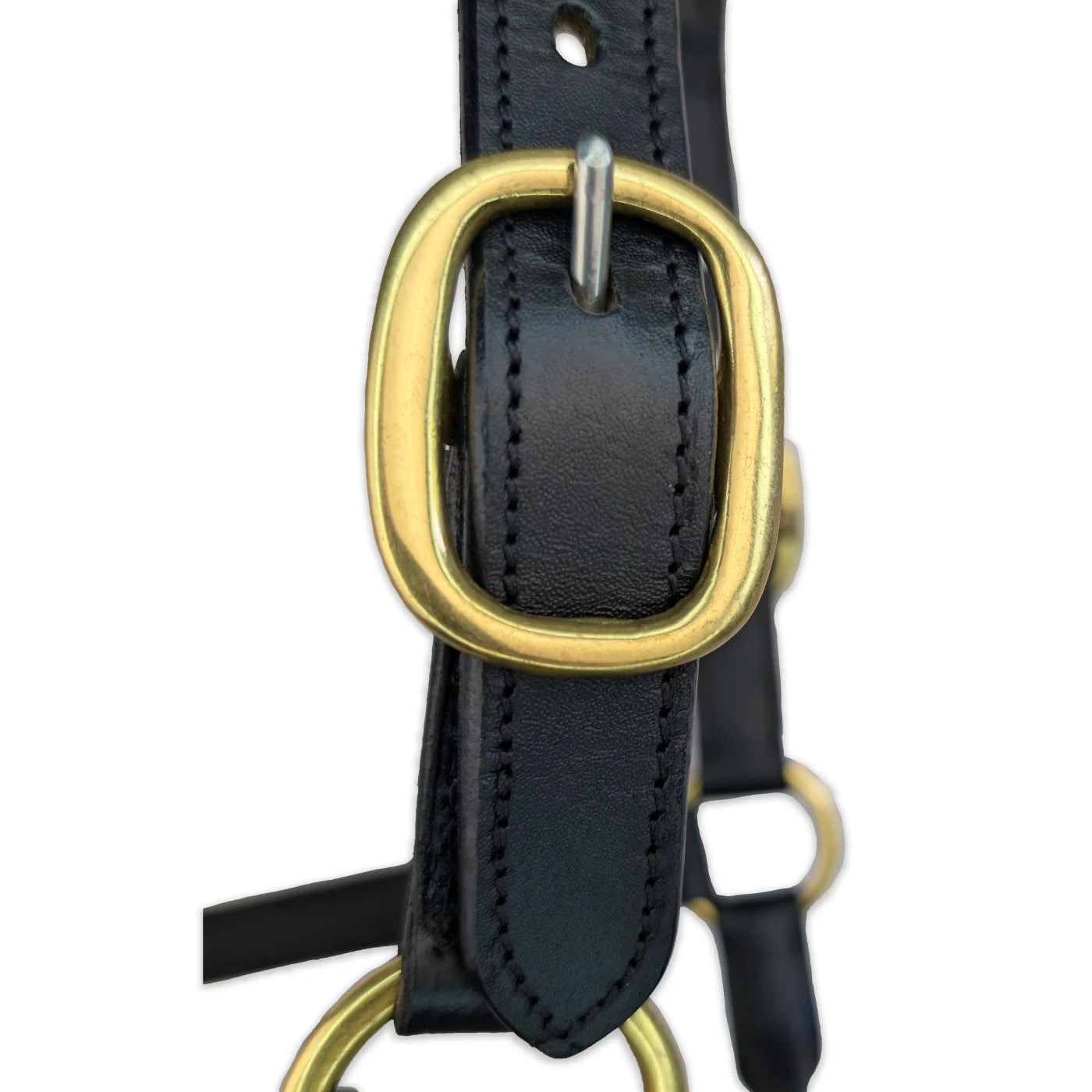 Elite Horse Leather Halter for Equestrian Excellence | Black Padded With Brass Buckles & Hooks