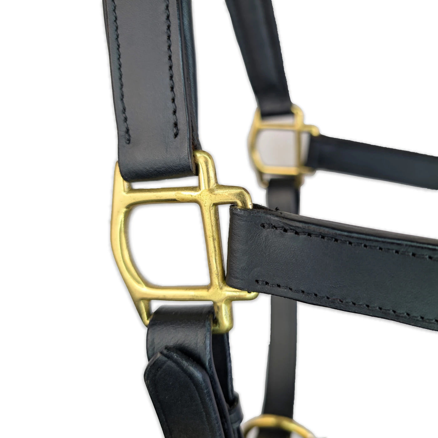 Elite Horse Leather Halter for Equestrian Excellence | Black Padded With Brass Buckles & Hooks