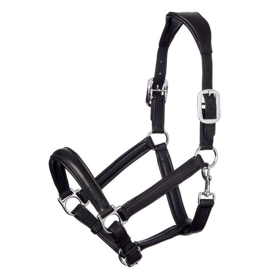 Elite Horse Leather Halter for Equestrian Excellence | Black Padded