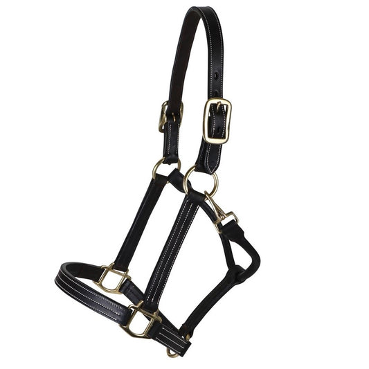 Elite Horse Leather Halter for Equestrian Excellence | Black Simple -Tripple White Stiched