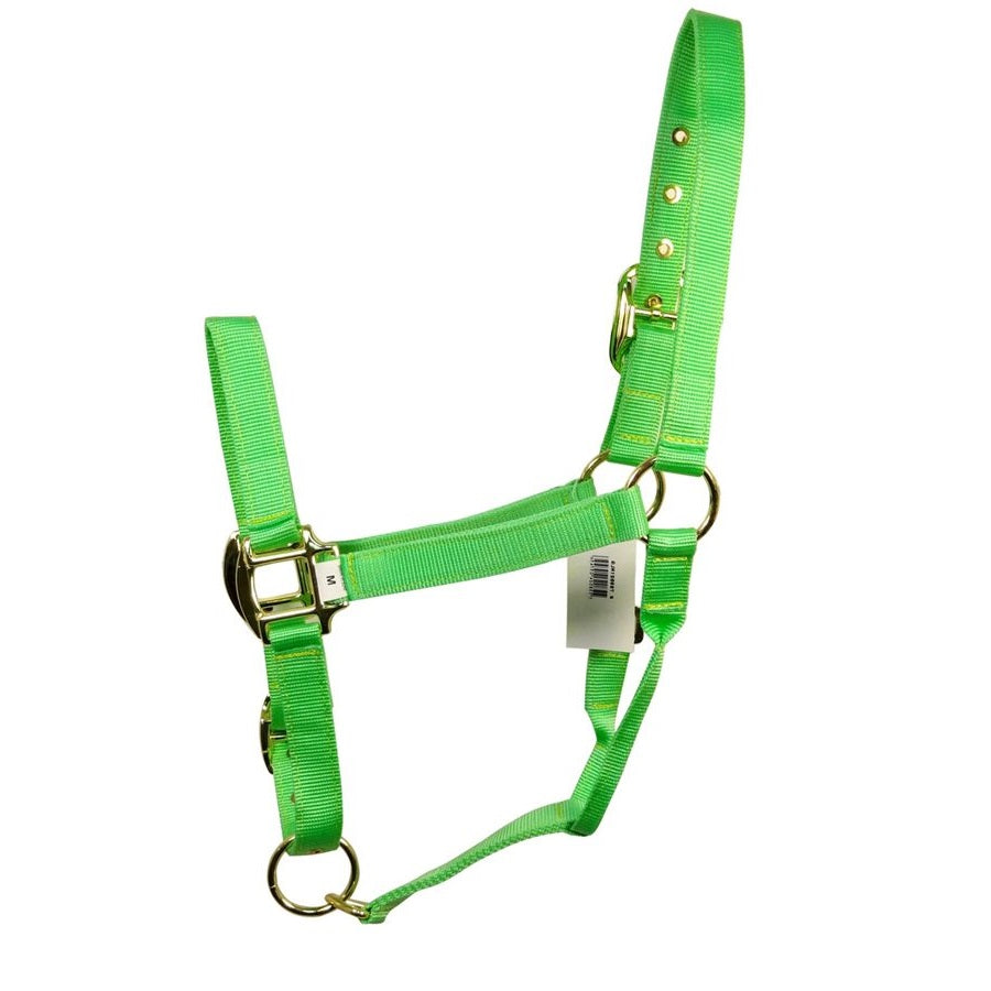 Elite Horse Nylon Halter for Equestrian Excellence