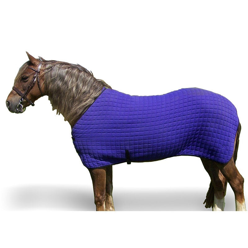 All-Season Horse Rug for Premium Comfort and Protection | Large Dotted Pattern