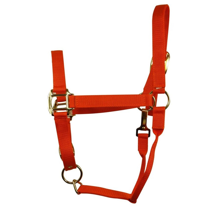 Elite Horse Nylon Halter for Equestrian Excellence