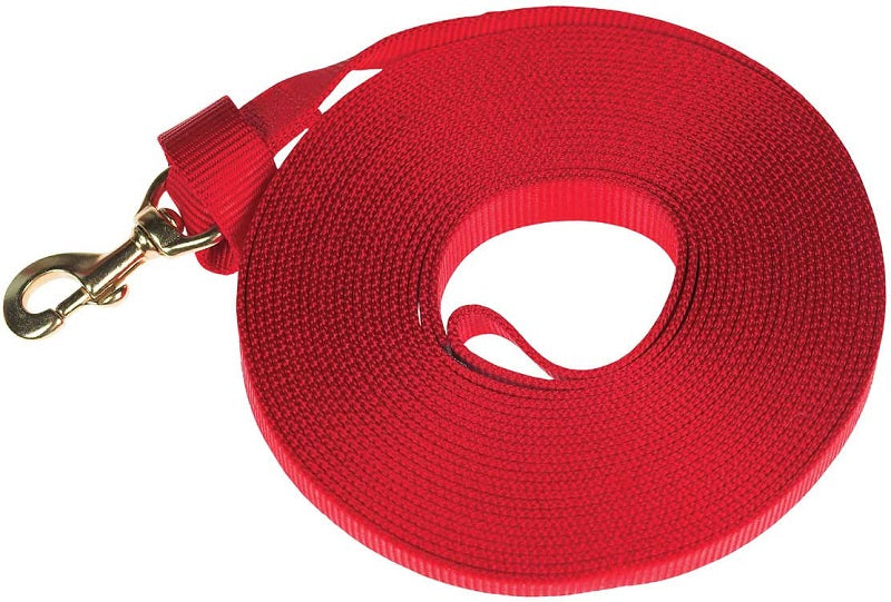 Durable and Stylish Horse Leads for Better Equestrian Control | Nylon Flat Strap