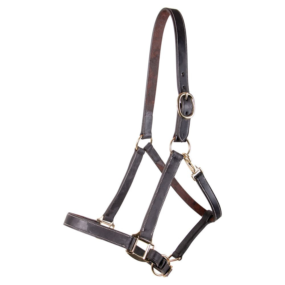 Elite Horse Leather Halter for Equestrian Excellence | Black Simple