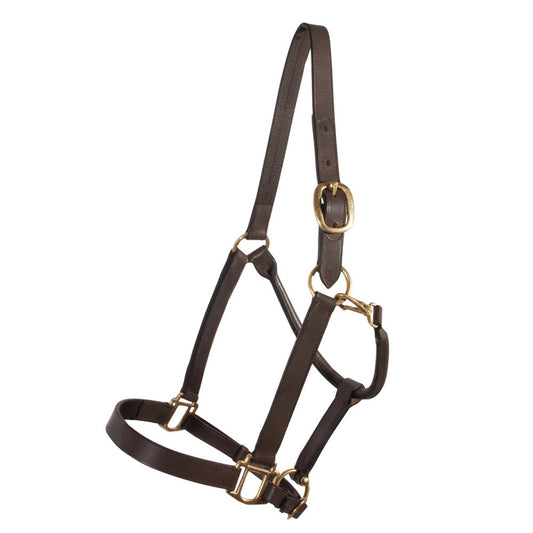 Elite Horse Leather Halter for Equestrian Excellence | Brown Simple