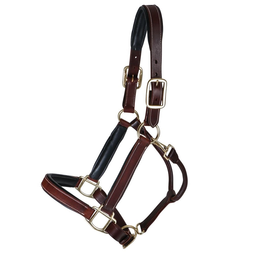 Elite Horse Leather Halter for Equestrian Excellence | Brown/Black Padded